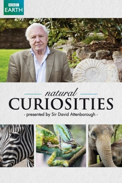 Watch David Attenborough's Natural Curiosities free movies