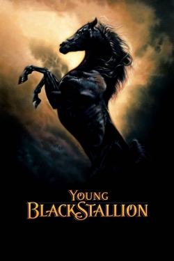 Watch Young Black Stallion free movies