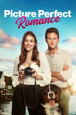 Watch Picture Perfect Romance free movies