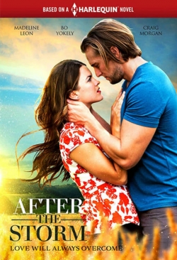 Watch After the Storm free movies