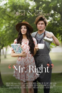 Watch Mr. Right free movies