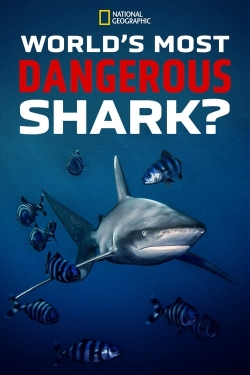 Watch World's Most Dangerous Shark? free movies