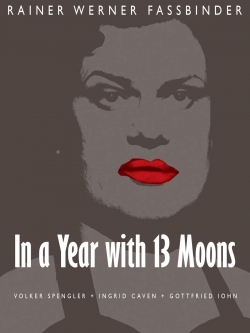 Watch In a Year with 13 Moons free movies