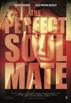 Watch The Perfect Soulmate free movies