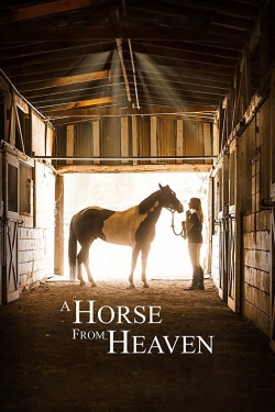 Watch A Horse from Heaven free movies